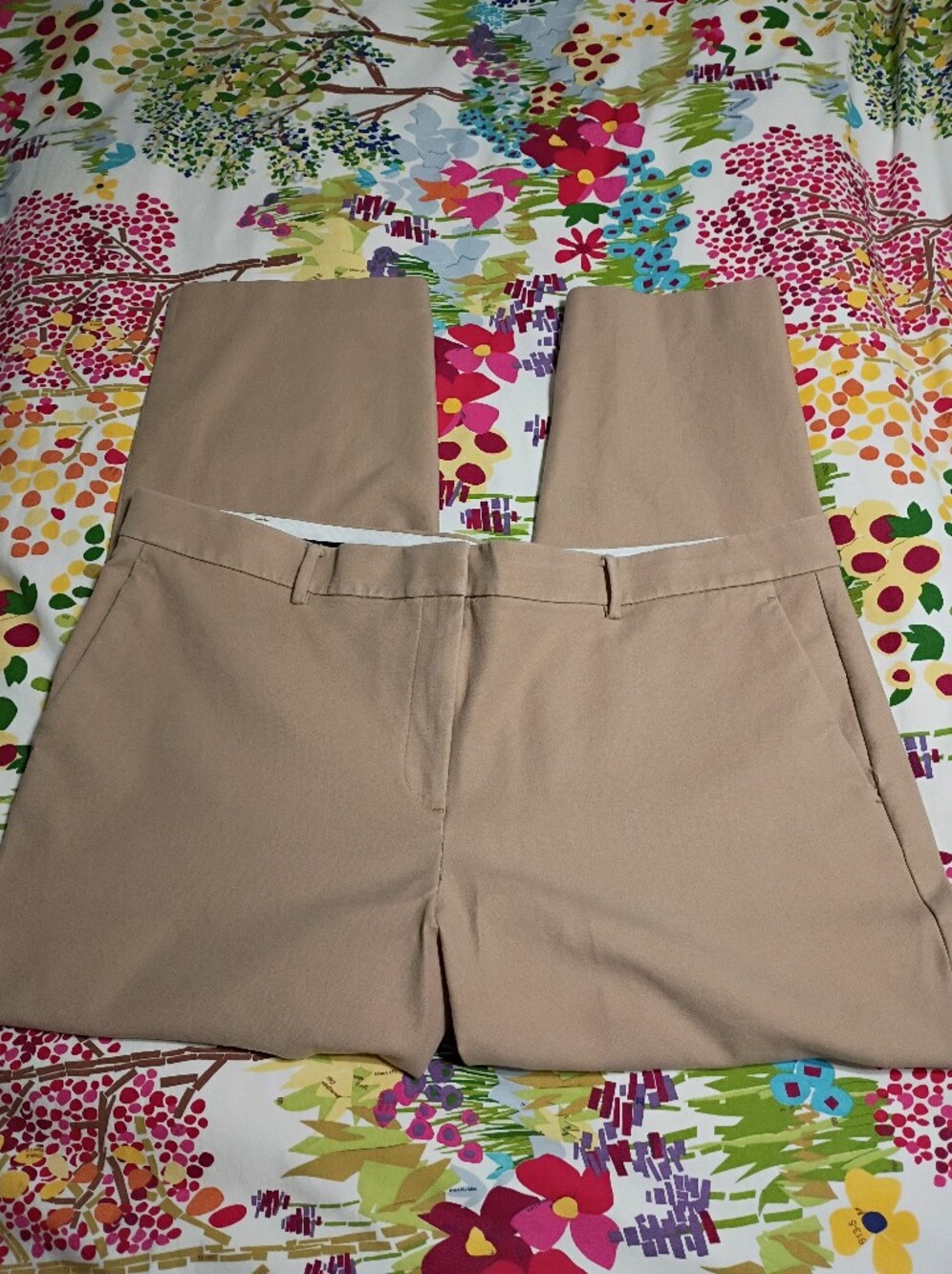 Ann Taylor Classic Tan Pants The Eva Size 18